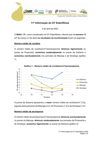 11ª Informação do GT Estenfiliose 2023 Imagem 1