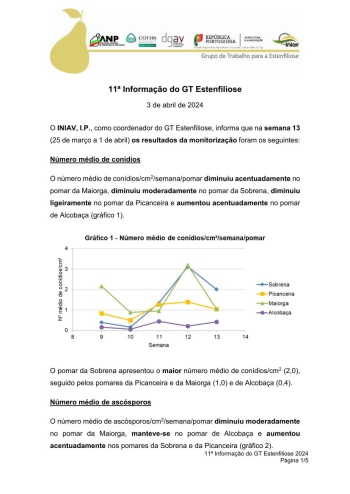 11ª Informação do GT Estenfiliose 2024 Imagem 1