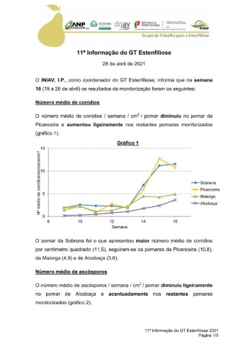 11ª Informação do GT Estenfiliose 2021 Imagem 1