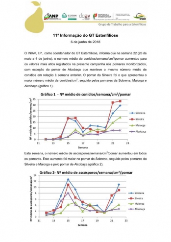 11ª Informação do GT Estenfiliose 2018 Imagem 1