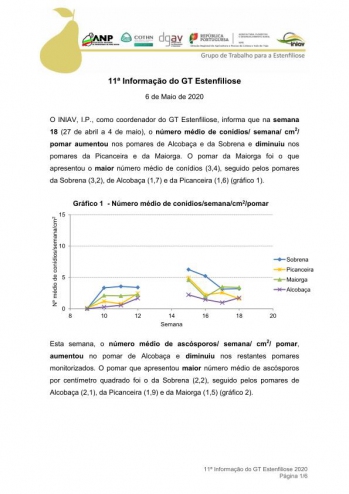 11ª Informação do GT Estenfiliose 2020 Imagem 1