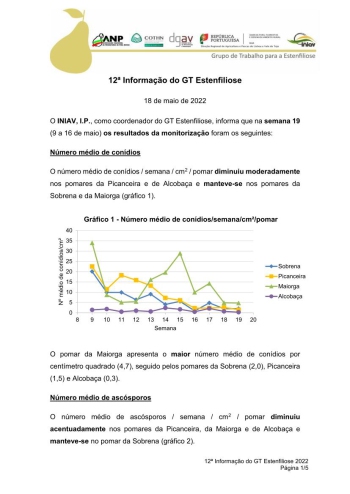 12ª Informação do GT Estenfiliose 2022 Imagem 1