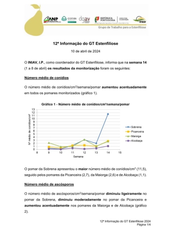 12ª Informação do GT Estenfiliose 2024 Imagem 1