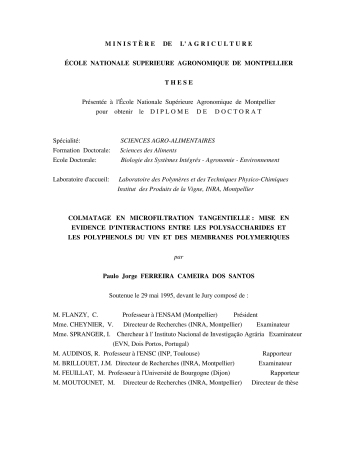 Colmatage en microfiltration tangentielle: mise en évidence ... Imagem 1