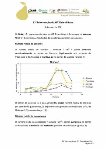 13ª Informação do GT Estenfiliose 2021 Imagem 1