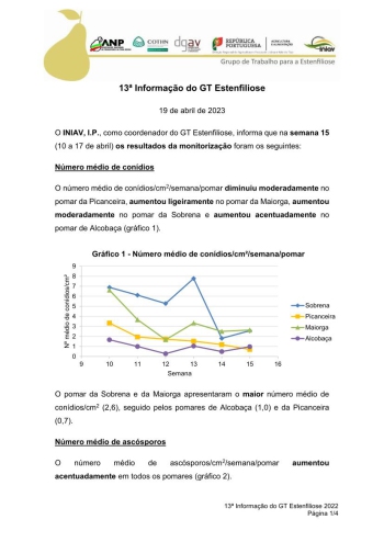 13ª Informação do GT Estenfiliose 2023 Imagem 1