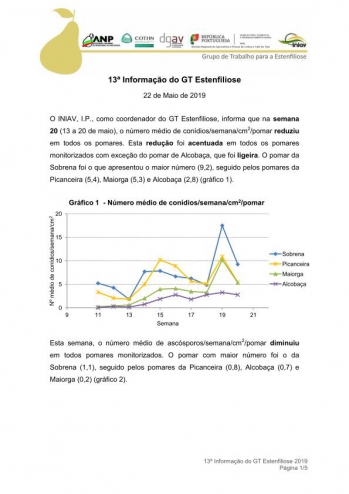 13ª Informação do GT Estenfiliose 2019 Imagem 1