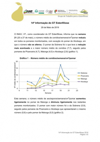 14ª Informação do GT Estenfiliose 2019 Imagem 1