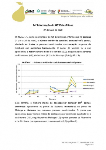 14ª Informação do GT Estenfiliose 2020 Imagem 1