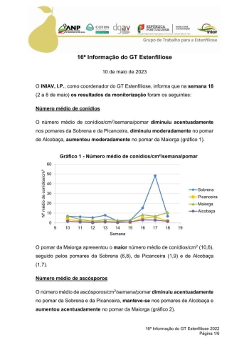 16ª Informação do GT Estenfiliose 2023 Imagem 1