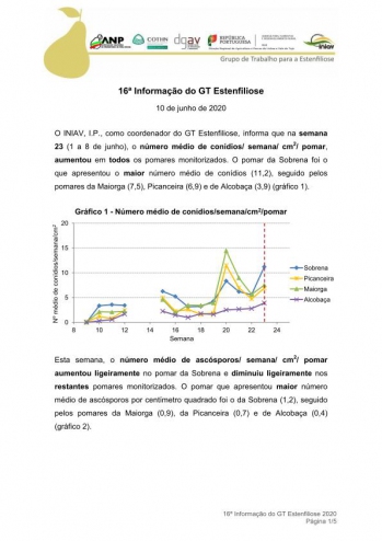 16ª Informação do GT Estenfiliose 2020 Imagem 1