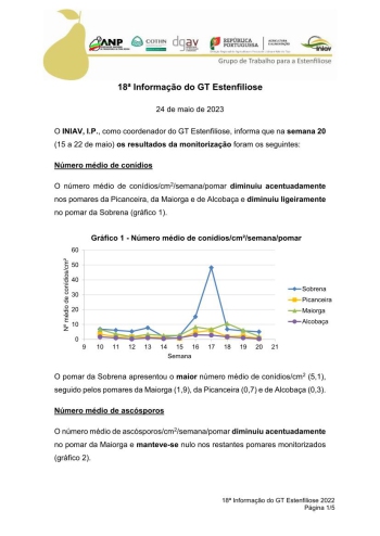 18ª Informação do GT Estenfiliose 2023 Imagem 1