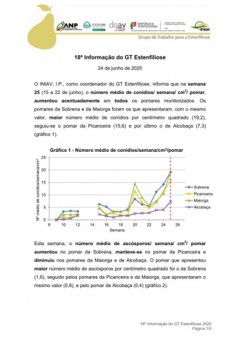 18ª Informação do GT Estenfiliose 2020 Imagem 1