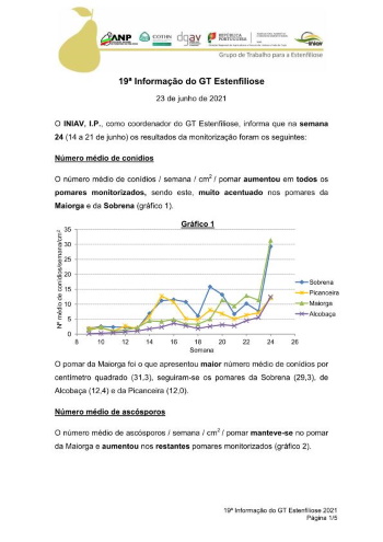 19ª Informação do GT Estenfiliose 2021 Imagem 1