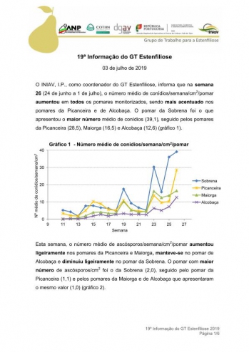 19ª Informação do GT Estenfiliose 2019 Imagem 1