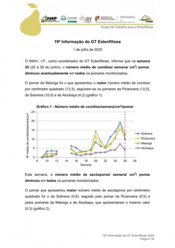 19ª Informação do GT Estenfiliose 2020 Imagem 1