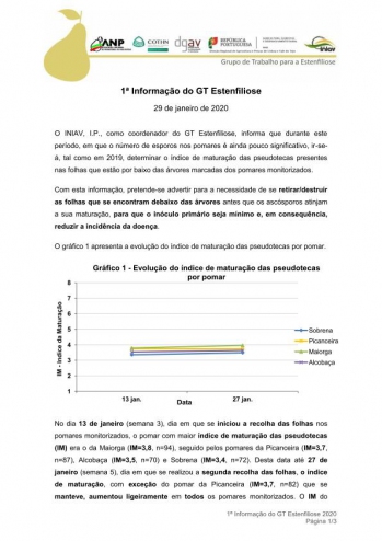 1ª Informação do GT Estenfiliose 2020 Imagem 1