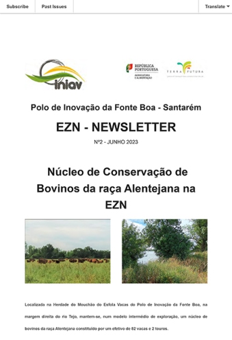 EZN – NEWSLETTER Nº 2 Imagem 1