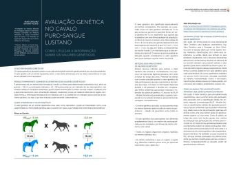 AVALIAÇÃO GENÉTICA NO CAVALO PURO-SANGUE LUSITANO Imagem 1