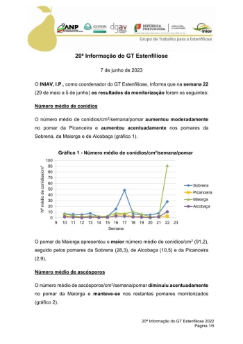 20ª Informação do GT Estenfiliose 2023 Imagem 1