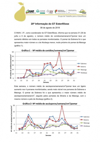 20ª Informação do GT Estenfiliose 2018 Imagem 1