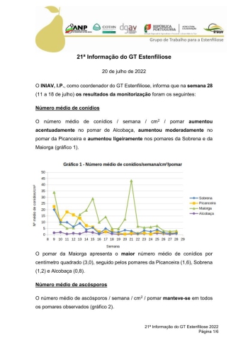 21ª Informação do GT Estenfiliose 2022 Imagem 1