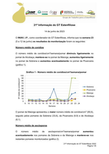 21ª Informação do GT Estenfiliose 2023 Imagem 1