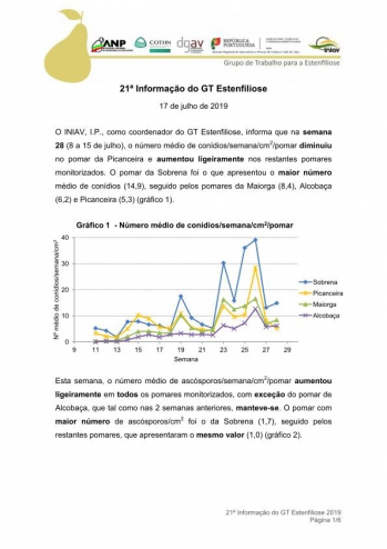 21ª Informação do GT Estenfiliose 2019 Imagem 1