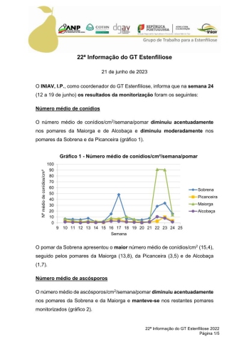 22ª Informação do GT Estenfiliose 2023 Imagem 1