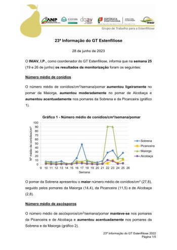 23ª Informação do GT Estenfiliose 2023 Imagem 1