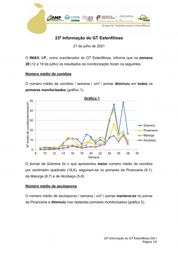 23ª Informação do GT Estenfiliose 2021 Imagem 1