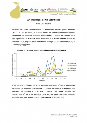 23ª Informação do GT Estenfiliose 2019 Imagem 1