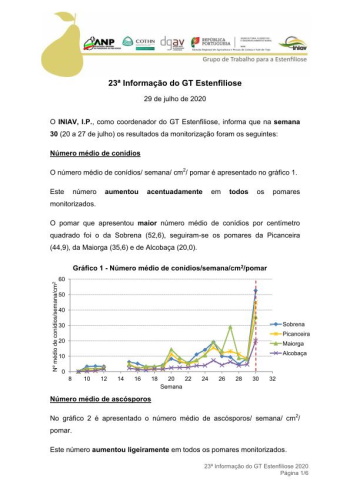 23ª Informação do GT Estenfiliose 2020 Imagem 1