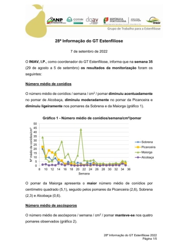 28ª Informação do GT Estenfiliose 2022 Imagem 1