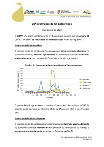 28ª Informação do GT Estenfiliose 2023 Imagem 1