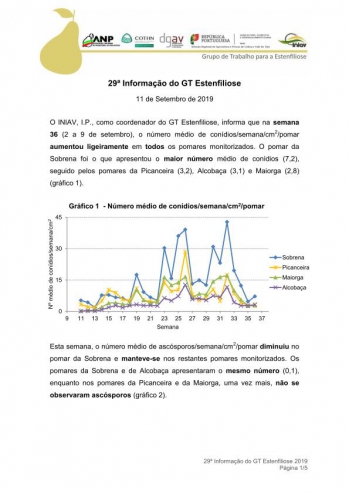 29ª Informação do GT Estenfiliose 2019 Imagem 1