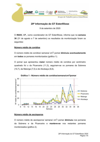 29ª Informação do GT Estenfiliose 2020 Imagem 1