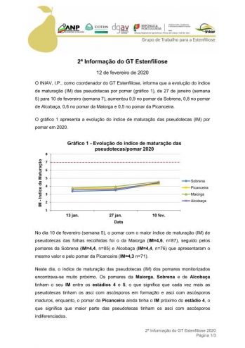 2ª Informação do GT Estenfiliose 2020 Imagem 1