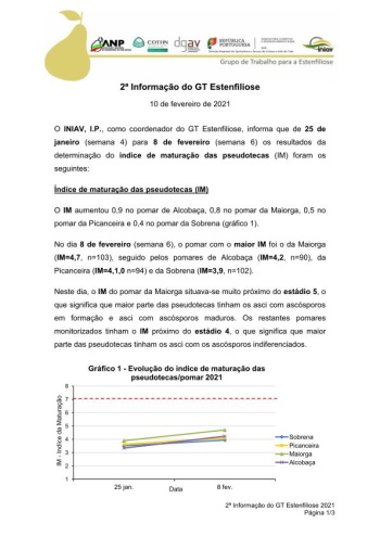 2ª Informação do GT Estenfiliose 2021 Imagem 1