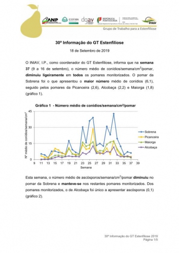 30ª Informação do GT Estenfiliose 2019 Imagem 1