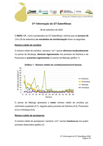 31ª Informação do GT Estenfiliose 2022 Imagem 1