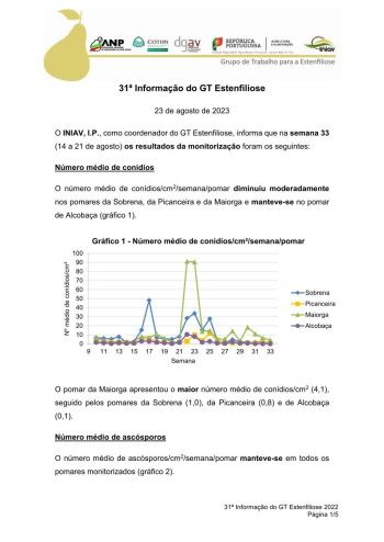 31ª Informação do GT Estenfiliose 2023 Imagem 1