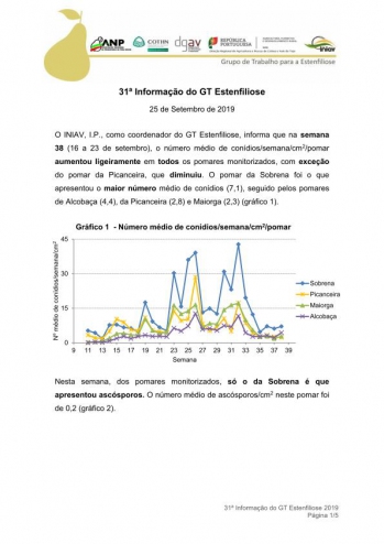 31ª Informação do GT Estenfiliose 2019 Imagem 1