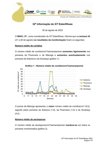 32ª Informação do GT Estenfiliose 2023 Imagem 1