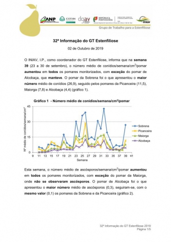 32ª Informação do GT Estenfiliose 2019 Imagem 1