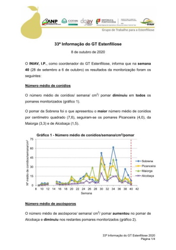 33ª Informação do GT Estenfiliose 2020 Imagem 1