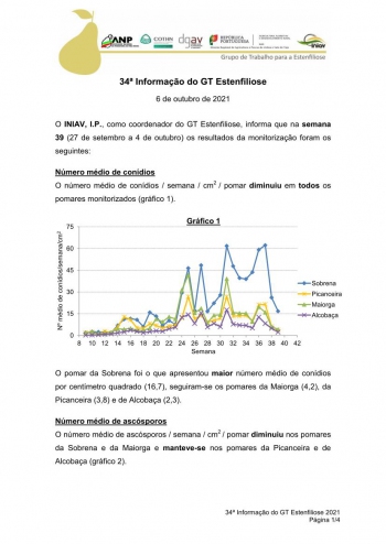 34ª Informação do GT Estenfiliose 2021 Imagem 1