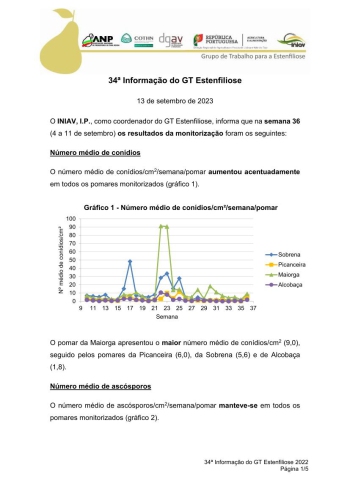 34ª Informação do GT Estenfiliose 2023 Imagem 1