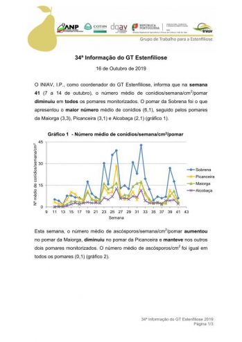 34ª Informação do GT Estenfiliose 2019 Imagem 1