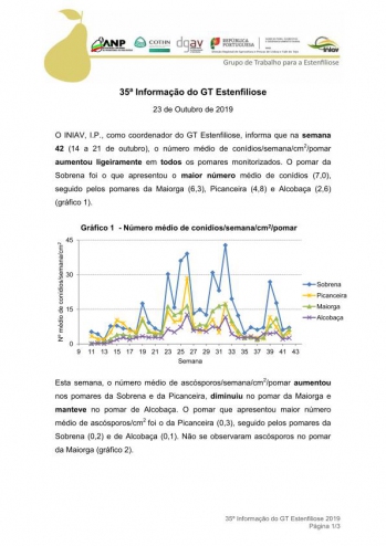 35ª Informação do GT Estenfiliose 2019 Imagem 1